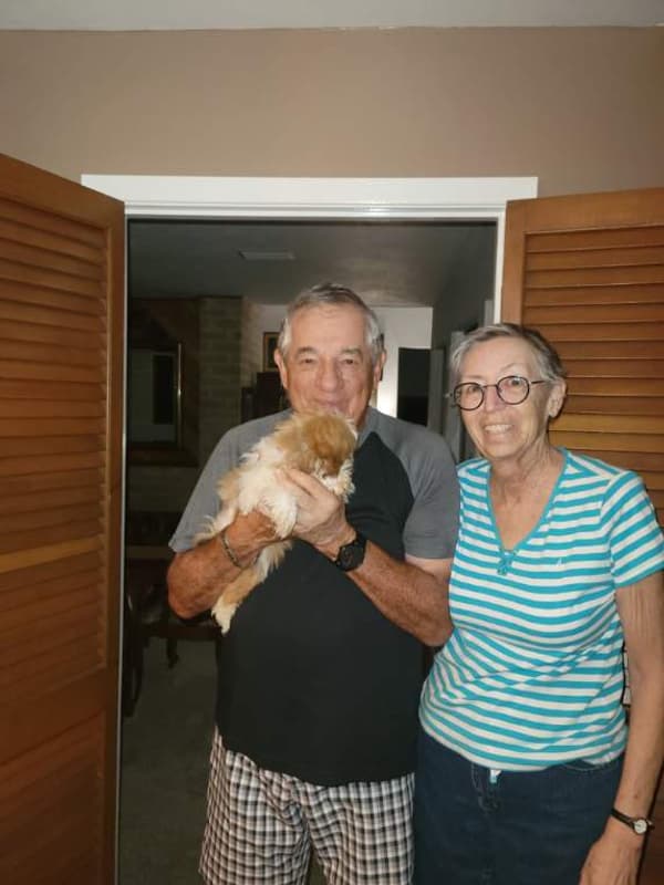 Customer photo of Shih Tzu puppy from Bob P.