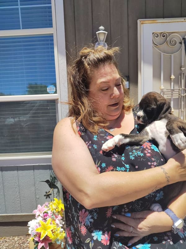 Customer photo of Boxer puppy from Roberta G.