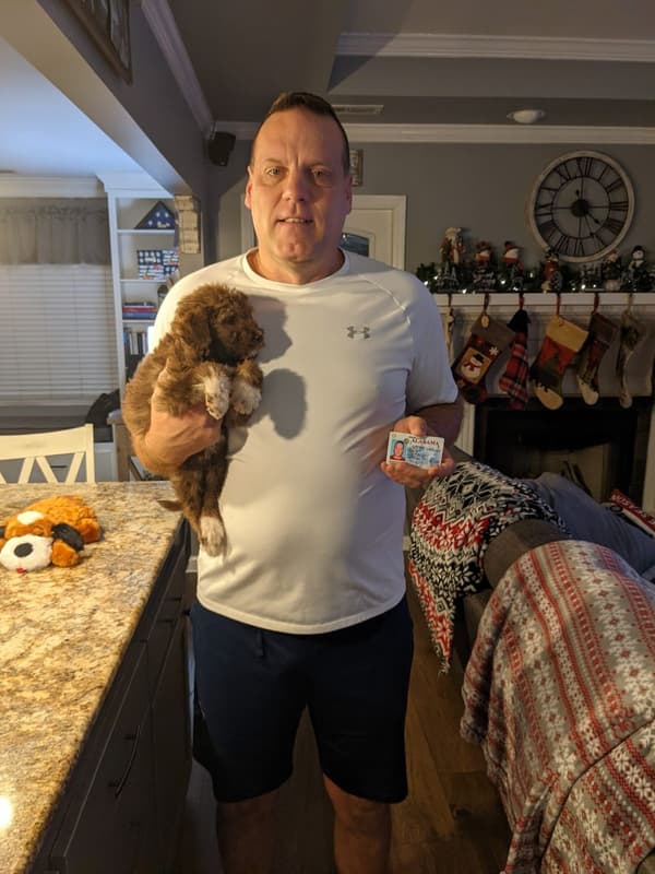 Customer photo of Aussiedoodle puppy from Ron F.