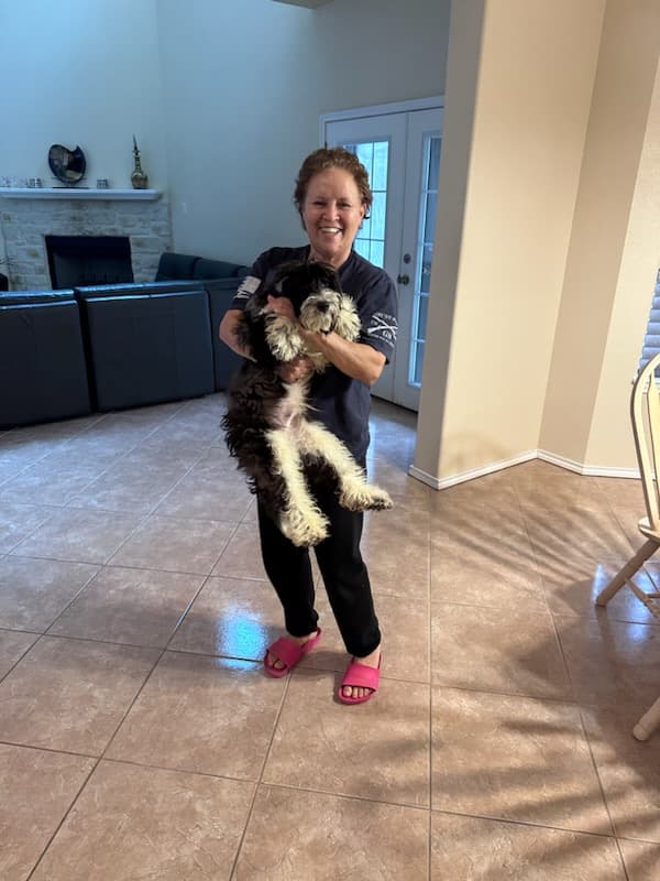 Customer photo of Bernedoodle, Mini puppy from Mindy M.