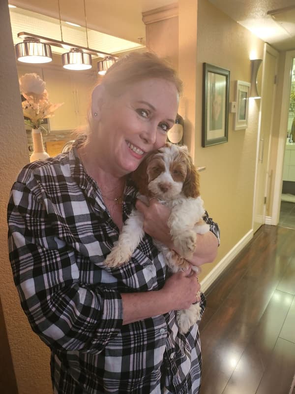 Customer photo of Cockapoo puppy from Vadra H.
