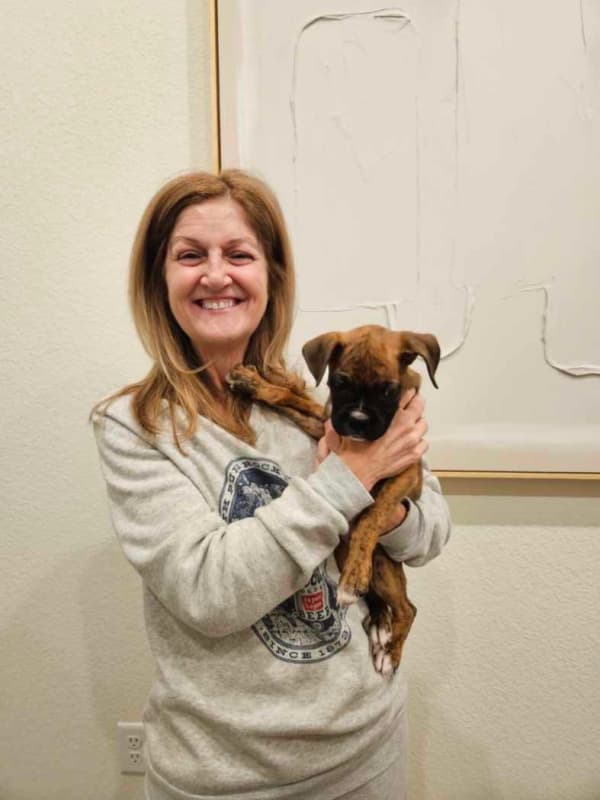 Customer photo of Boxer puppy from Tammela M.