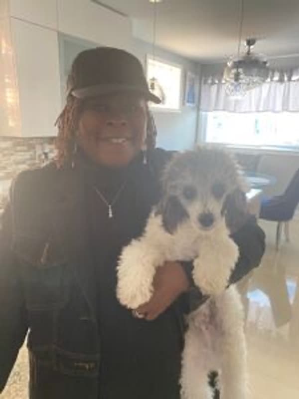 Customer photo of Poodle, Miniature puppy from Rosilind T.