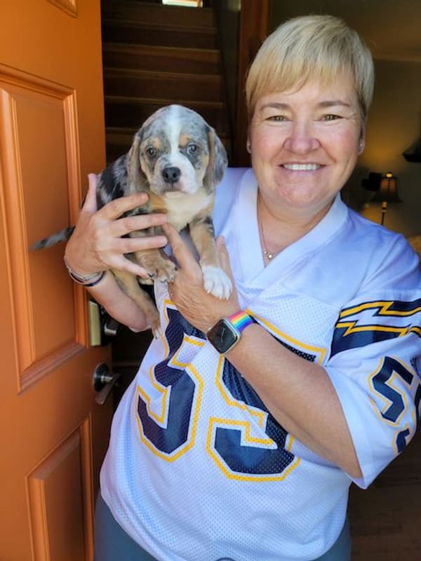 Customer photo of Puggle puppy from Pamela B.