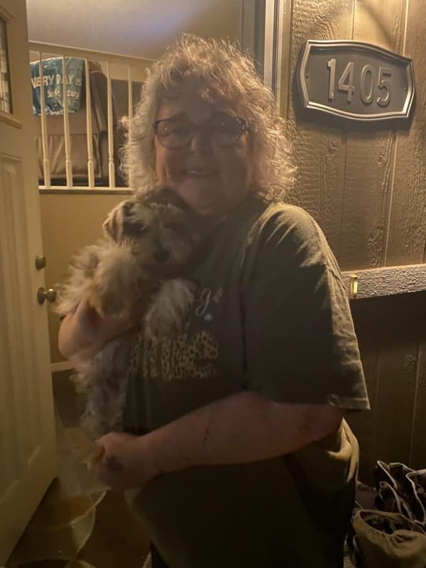 Customer photo of Schnauzer, Miniature puppy from Tawana C.