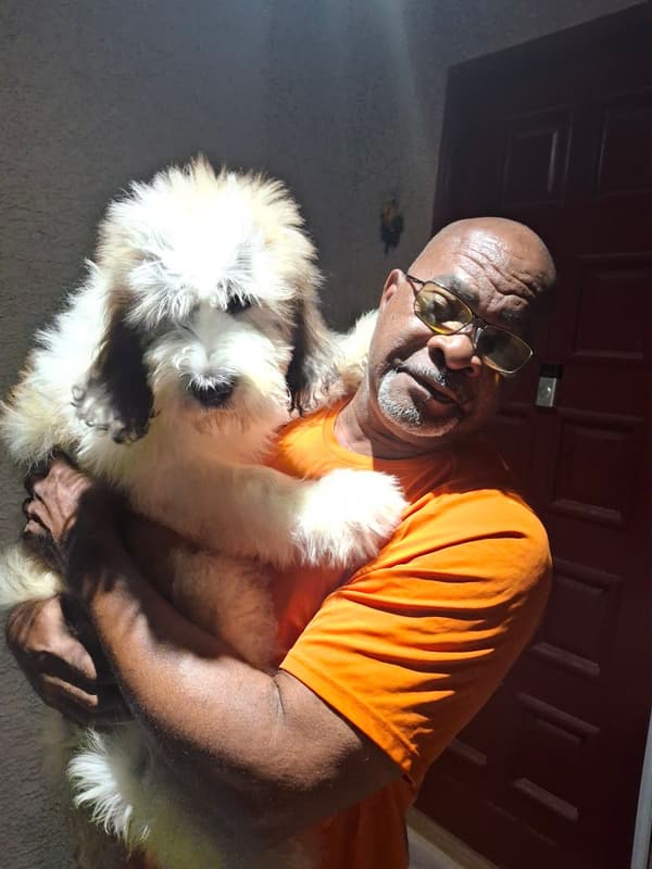Customer photo of Saint Berdoodle - St. Berdoodle puppy from Oswald D.
