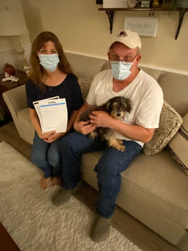 Customer photo of Schnoodle puppy from Donna B.