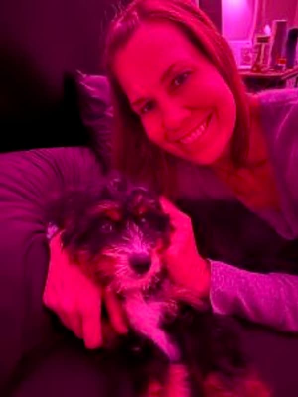 Customer photo of Bernedoodle, Mini puppy from Nichole P.