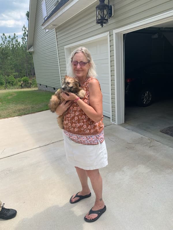 Customer photo of Soft Coated Wheaten Terrier puppy from Carol D. 