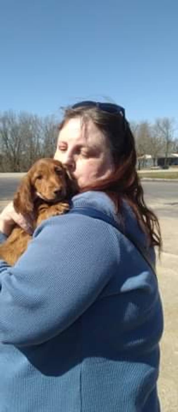 Customer photo of Dachshund puppy from Ann B.