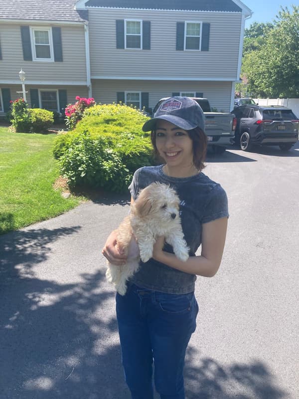 Customer photo of Havanese puppy from Christina A.