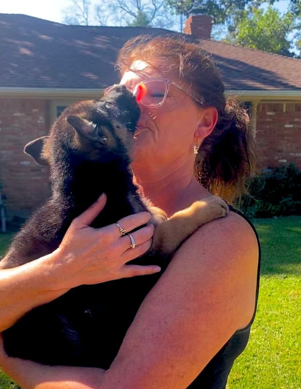 Customer photo of German Shepherd puppy from Caroline I.