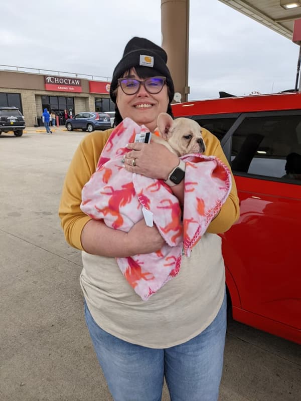 Customer photo of French Bulldog puppy from Angela G. 