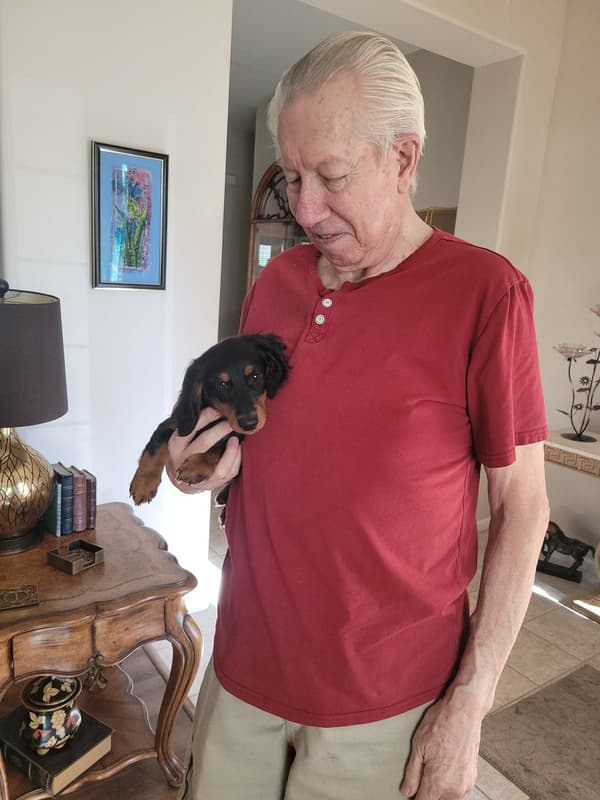 Customer photo of Dachshund, Mini puppy from Dennis B. 