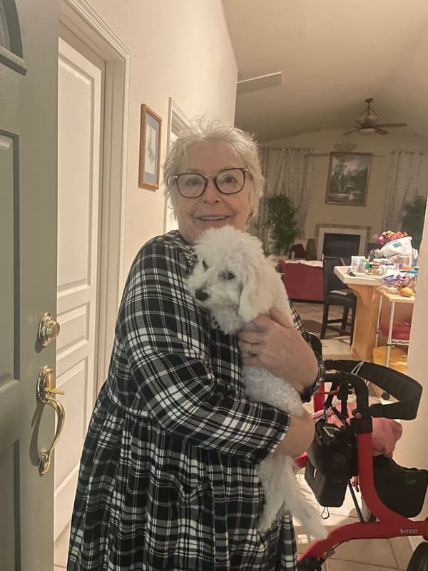 Customer photo of Bichon Frise puppy from Nancy P.