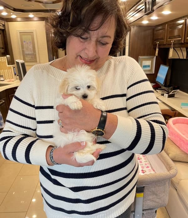 Customer photo of Malti Poo - Maltipoo puppy from Miriam F.