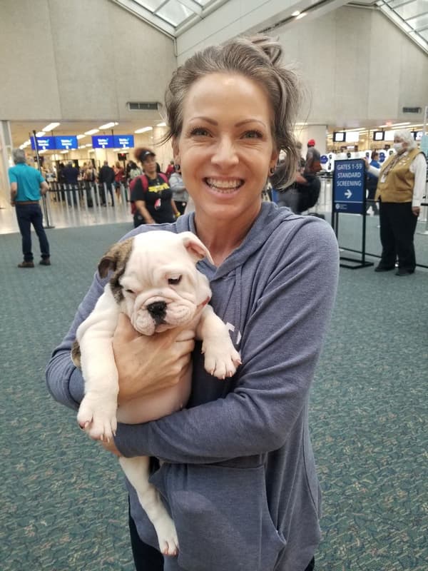 Customer photo of English Bulldog puppy from Kasie U.