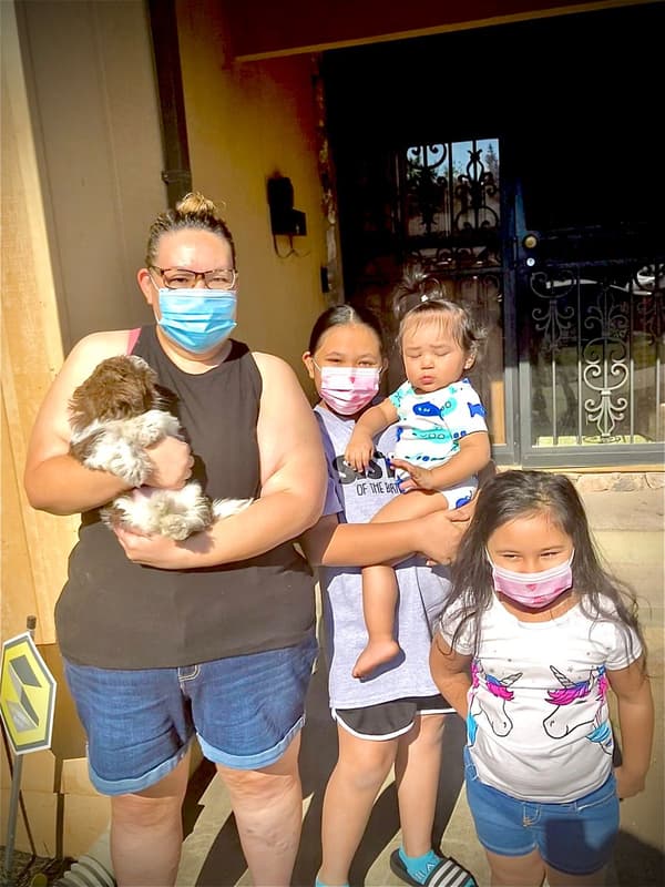 Customer photo of Shih Tzu puppy from Kristie O.