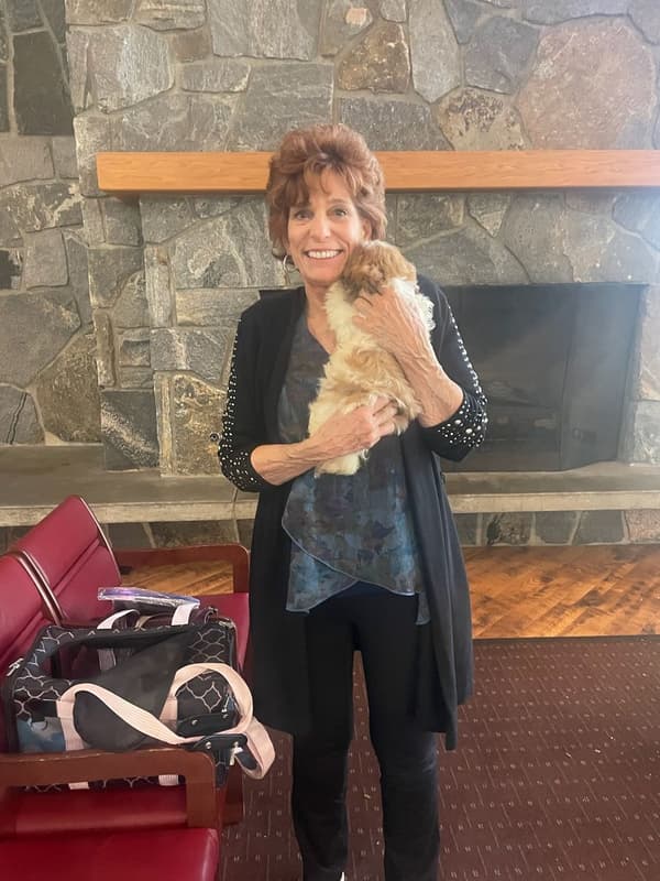 Customer photo of Shih Tzu puppy from Hannah B. 