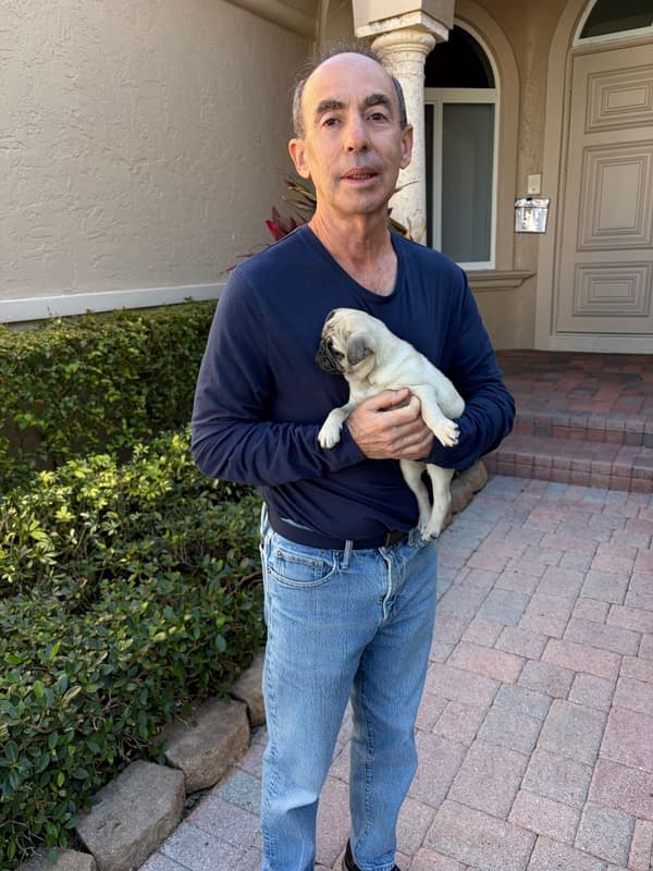 Customer photo of Pug puppy from Stephen P.