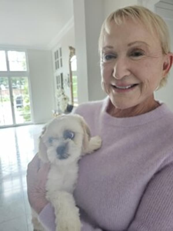 Customer photo of Shih Tzu puppy from Linda L.