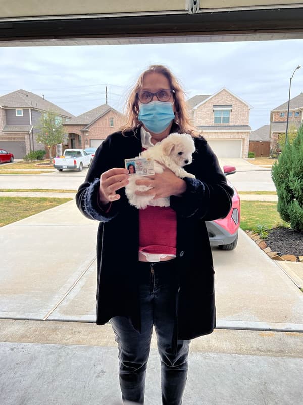 Customer photo of Maltese puppy from Carol S.