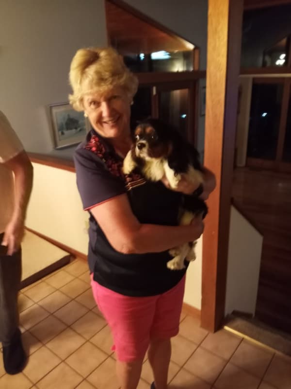 Customer photo of Cavalier King Charles Spaniel puppy from Jane E.
