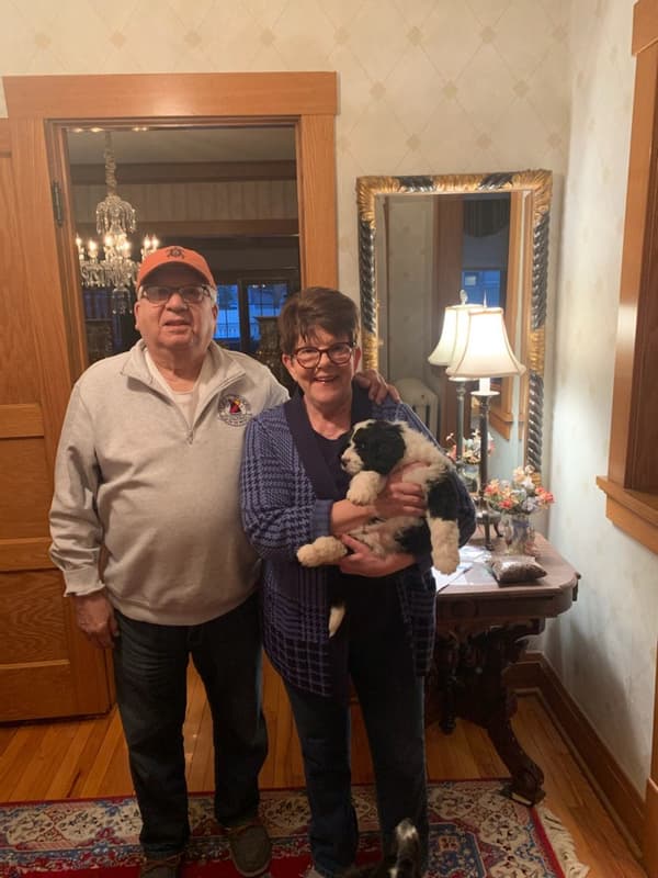 Customer photo of Bernedoodle, Mini puppy from Linda L.