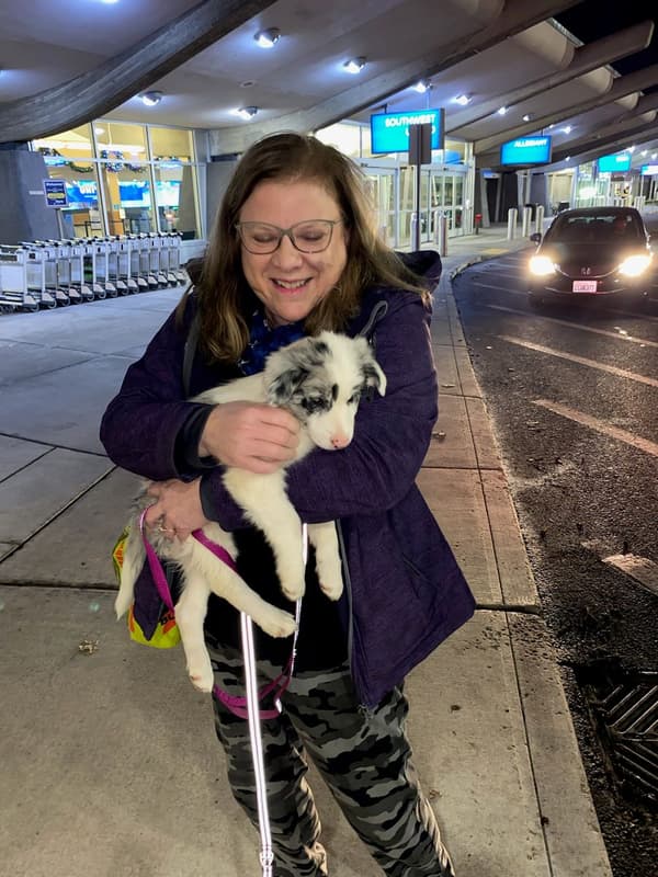 Customer photo of Border Collie puppy from Kathy S.