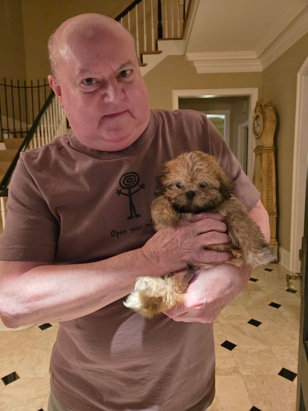 Customer photo of Shih Tzu puppy from David T.