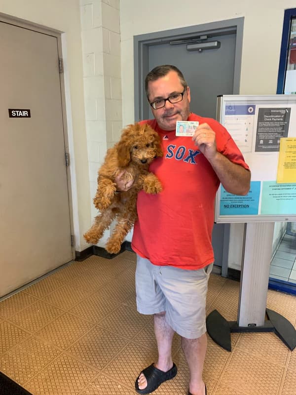Customer photo of Goldendoodle, Mini puppy from Christopher M.