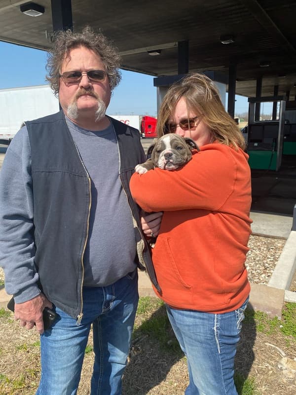 Customer photo of English Bulldog puppy from Becky & Brian Hays