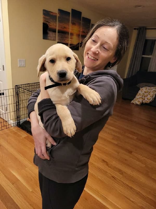 Customer photo of Labrador Retriever puppy from Igor B.