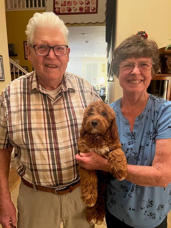 Customer photo of Goldendoodle, Mini puppy from Betsy P.