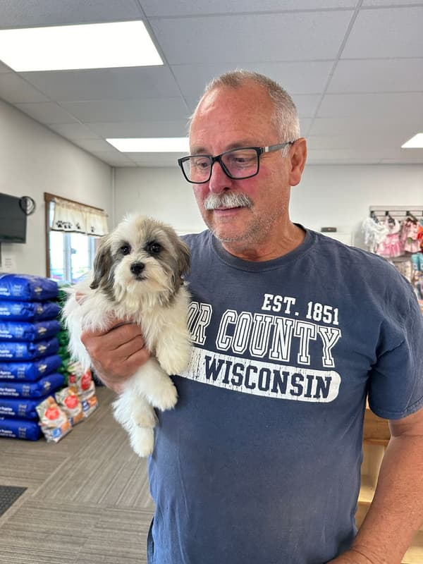 Customer photo of Havanese puppy from Richard W.