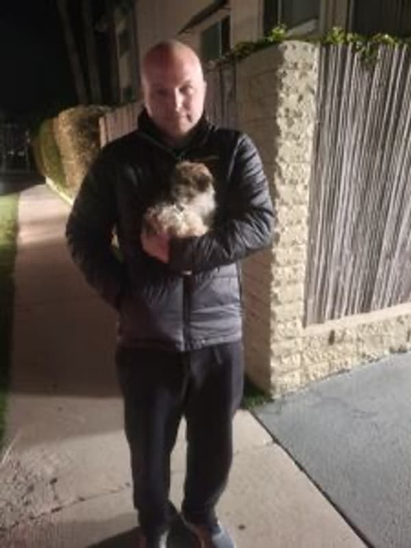 Customer photo of Havanese puppy from Jason H.