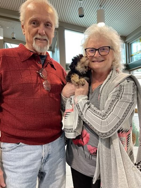Customer photo of Poodle, Toy puppy from Karen C.