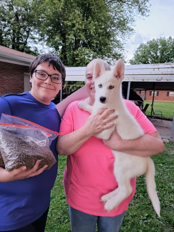 Customer photo of Siberian Husky puppy from Tracy O.
