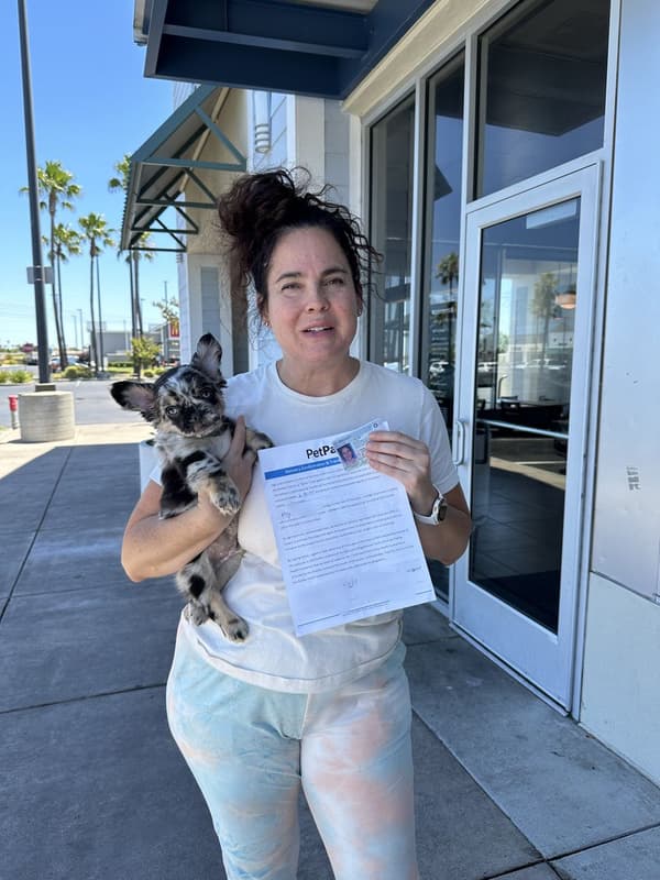 Customer photo of Mixed/Other puppy from Megan D.