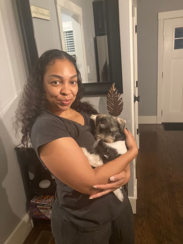 Customer photo of Schnauzer, Miniature puppy from Keyia C.