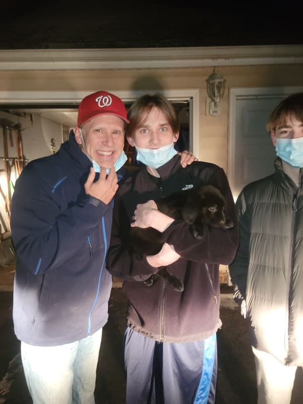 Customer photo of Labrador Retriever puppy from John C.