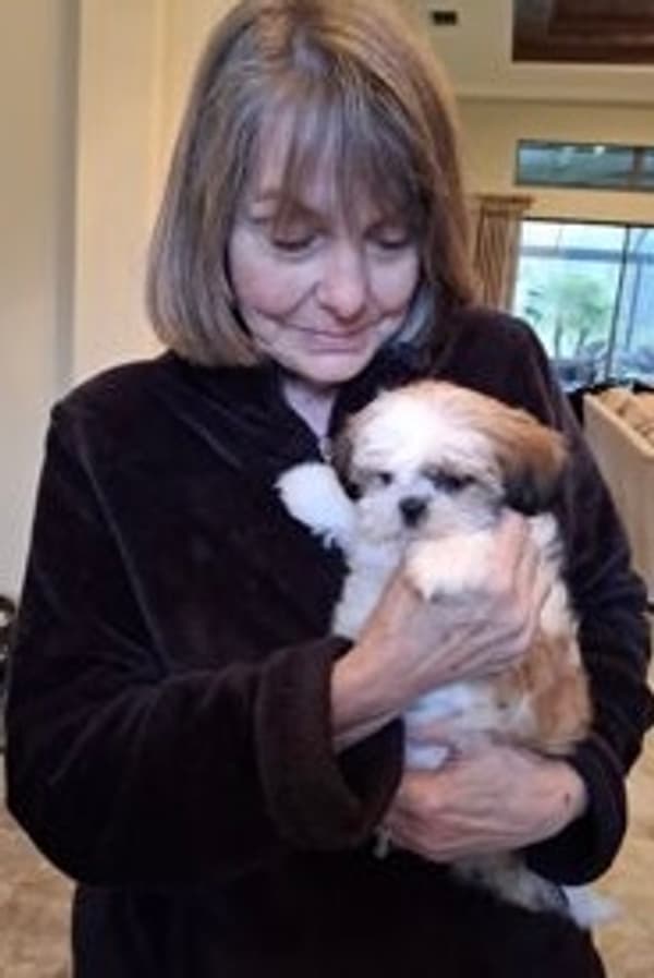 Customer photo of Shih Tzu puppy from Karen M.