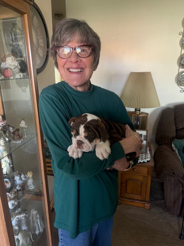 Customer photo of English Bulldog puppy from Kenneth E.