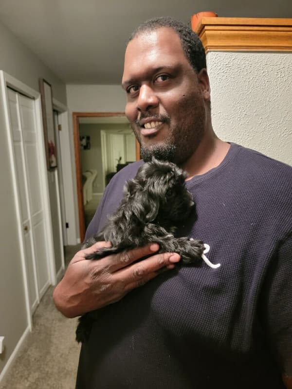 Customer photo of Havanese puppy from Aaron A.