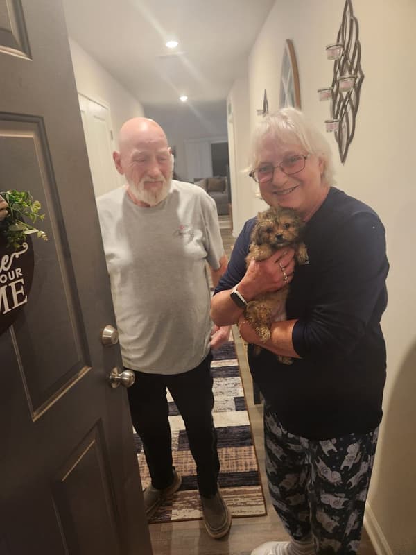 Customer photo of Peekapoo puppy from Nancy T.