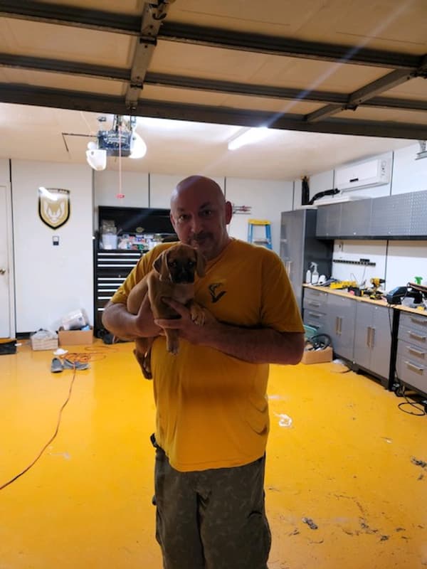 Customer photo of Puggle puppy from Donald S.