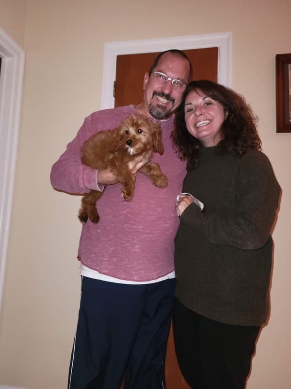 Customer photo of Cavapoo puppy from Glen S.