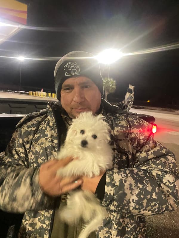 Customer photo of Bichon Frise puppy from Lindsey R.