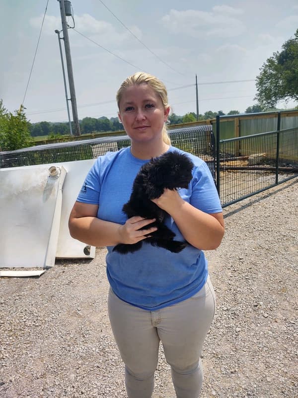 Customer photo of Shih Tzu puppy from Maren M.