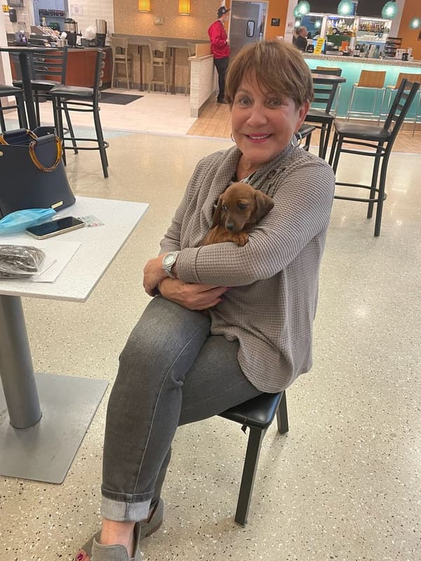 Customer photo of Dachshund, Mini puppy from Donna F.